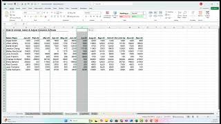 Hide, Unhide, Insert & Adjust Columns & Rows