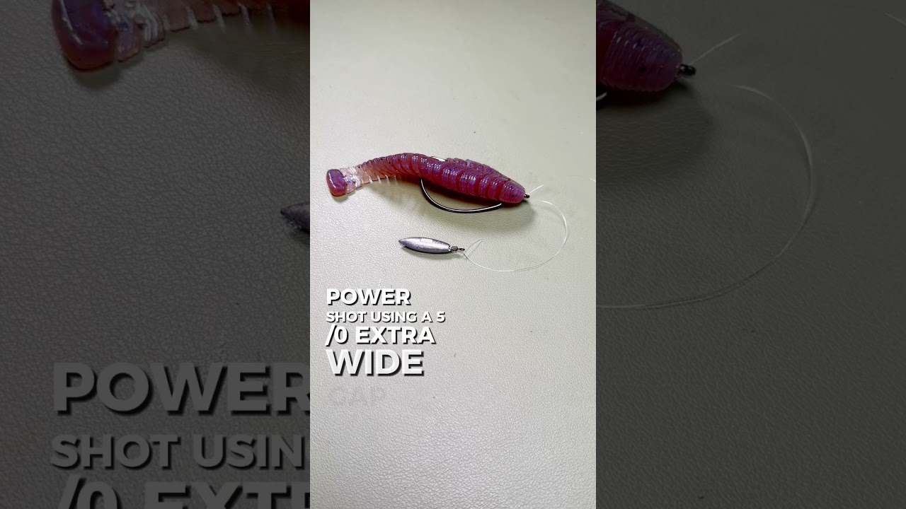 Raid Hira Tailor rigging options for bass fishing 