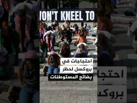 نشطاء بأسطول الحرية في بروكسل يدعون لحظر بضائع المستوطنات الإسرائيلية