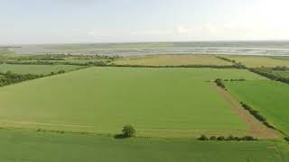 Clayhill Vineyard - Relax