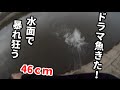 バス釣り　羽モノ一本勝負のつもりがドラマ魚来た！　Bass fishing in Japan