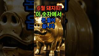 6월 돼지띠 이숫자에서 돈들어옵니다#재물운 #금전운 #띠별운세