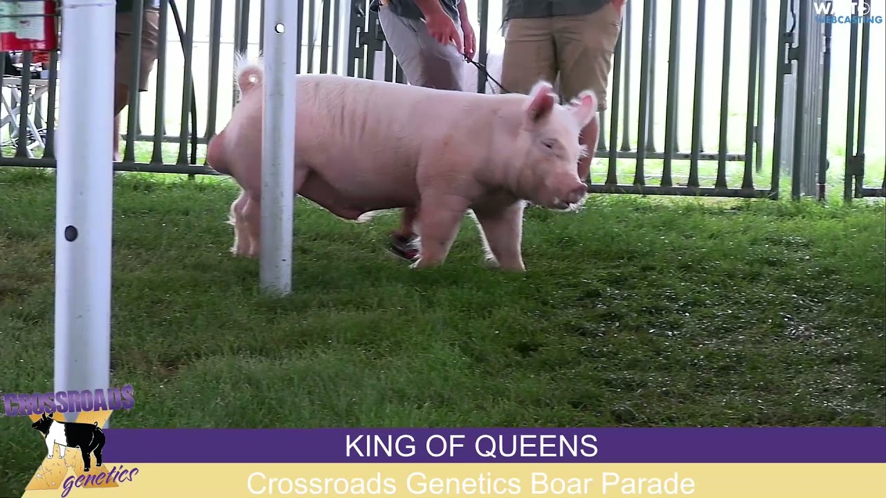 King of Queens - YouTube
