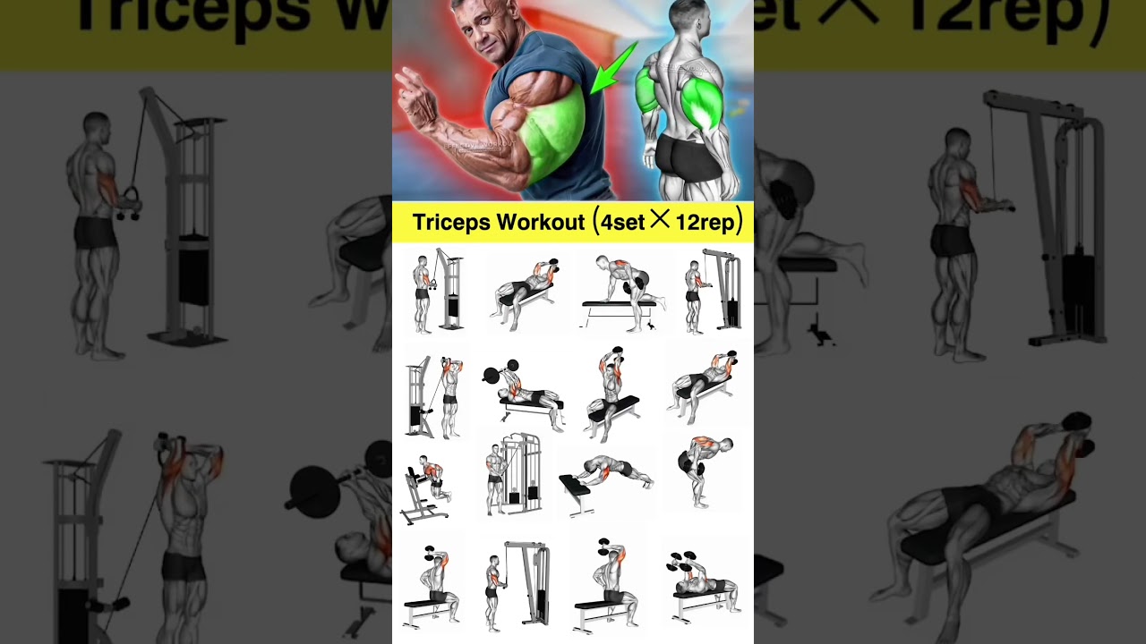 Day:53/60 Most Effective Triceps Workout#fitness #gym#explore#bodybuilding #fyp#workout #back#reels