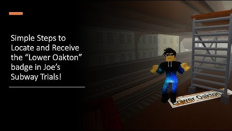 Joe’s Subway Trials | Guide to Obtaining the Lower Oakton Street Badge