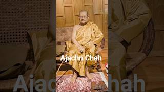 Świątynia Nong Pa Pong w Tajlandi Ajahn Chah #nongpapong #monk #ajahnchah #mnich #buddyzm