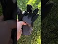MaxiFlex Seamless Knit Nylon Gloves | Micro Foam Grip on Palm and Fingers Cut Resistance