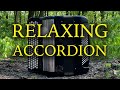 5 Beautiful Amelie Soundtracks | Accordion Relaxing Music