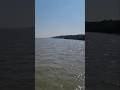 Boat Trip in Sundarbans 🛶🌳 | World’s Largest Mangrove Forest 🌊🌴 #boating #nature
