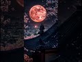 Tokyo at midnight 🌙
