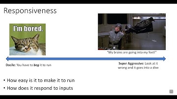 Talking About Canopy Flight Characteristics