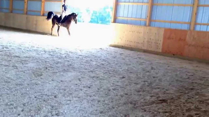 Debra Sue lesson 7/22