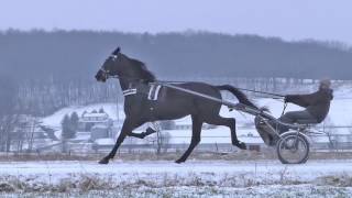 Victor 39aSlow
