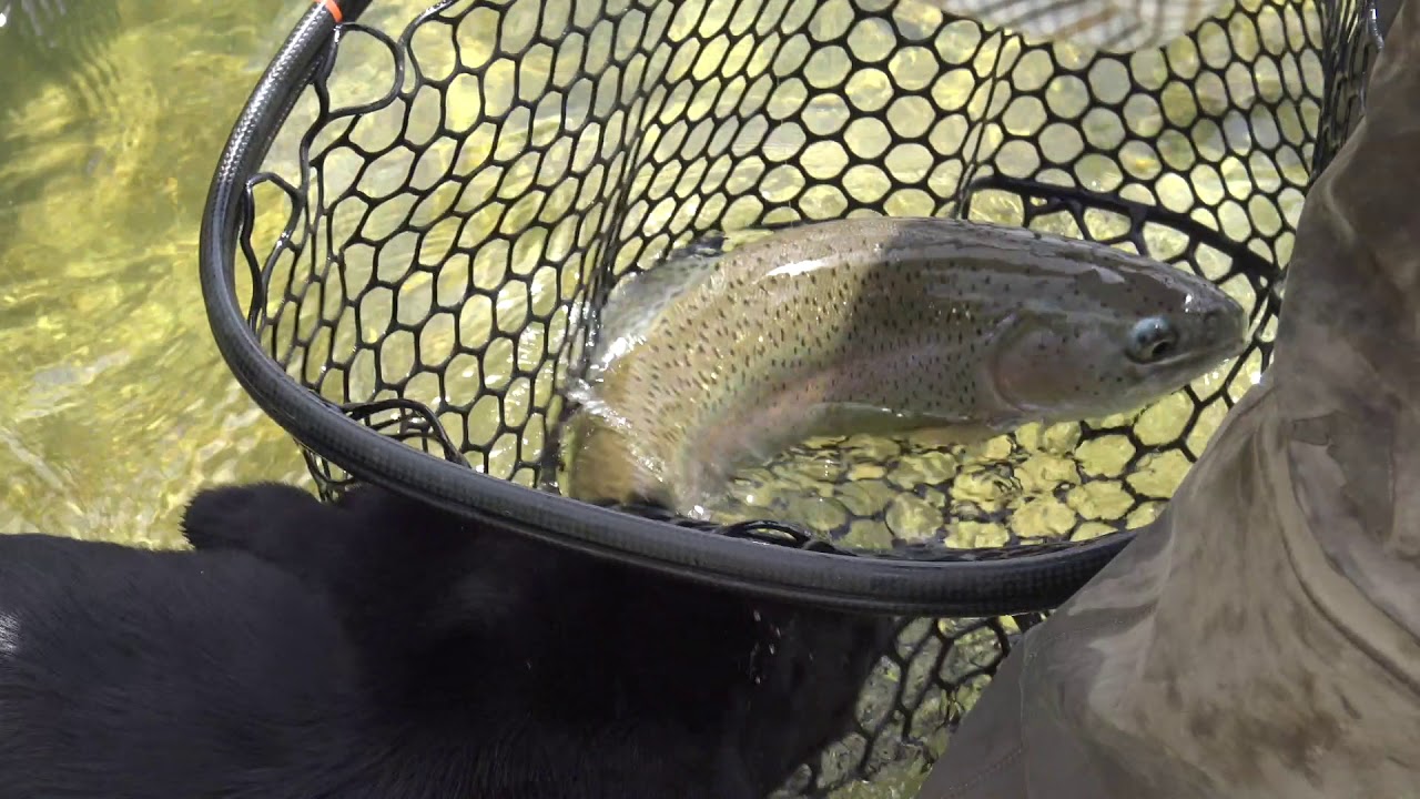 Fly Fishing with Mark Engler on the San Juan River