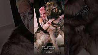 DANTE — Η Ιστορία μιας Ανιδιοτελούς Αγάπης 🐾