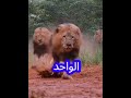 تربينا أسياد أنفسنا و الكلمة كلمتنا كلام من ذهب حالات واتس خواطر تحفيز الله اكبر اكسبلور