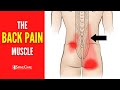 The Lower Back Pain Muscle (How to Release It for INSTANT RELIEF)