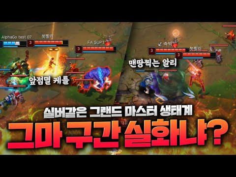 실버와 차이 없는 그마 구간 카이사