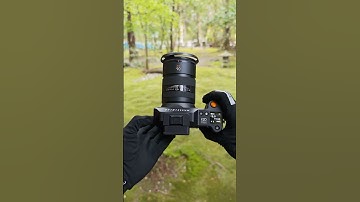 Hasselblad X2D 100C: See How 100MP Captures Nature
