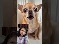 #viral#comedyshorts