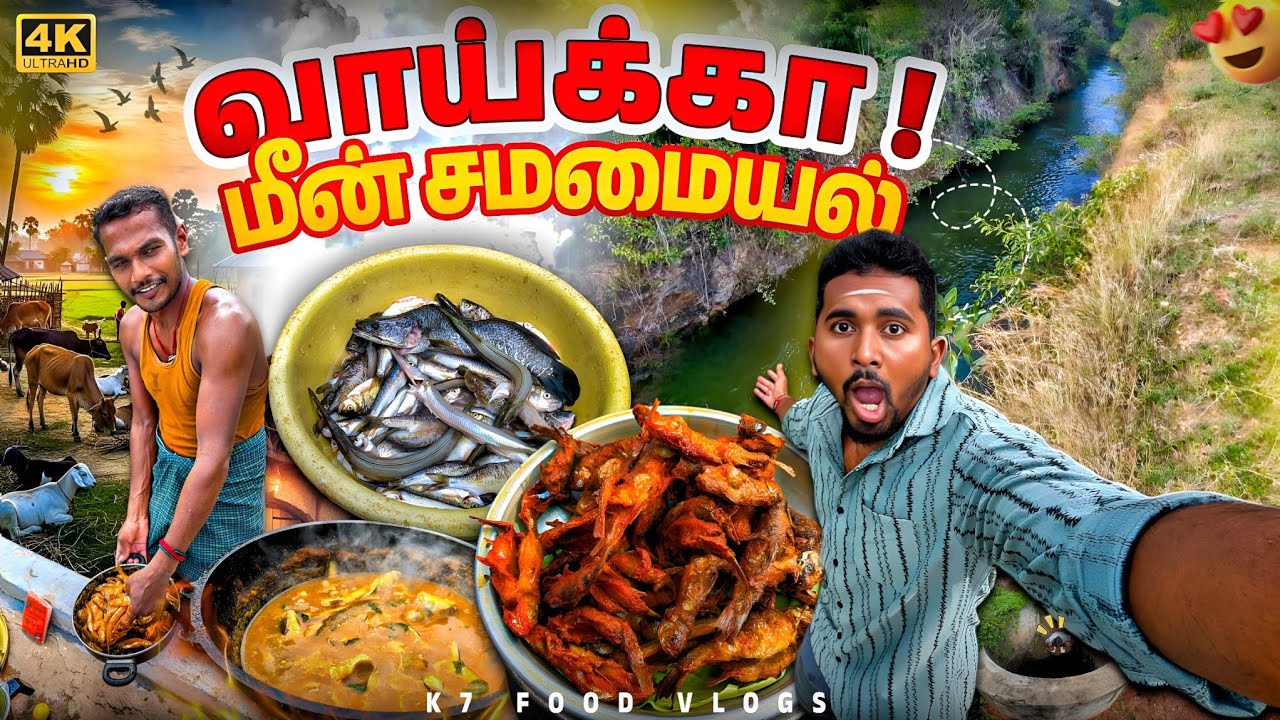 🔥வாய்க்கால் மீன் வேட்டை 🎣🔥 | மோகன் மாமா உடன் 😍 | Village Fish Fry 🍤 & Kulambu 🍛 | K7 Food Vlogs