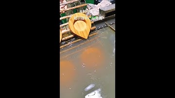 Water transfer printing improves product appearance and value.