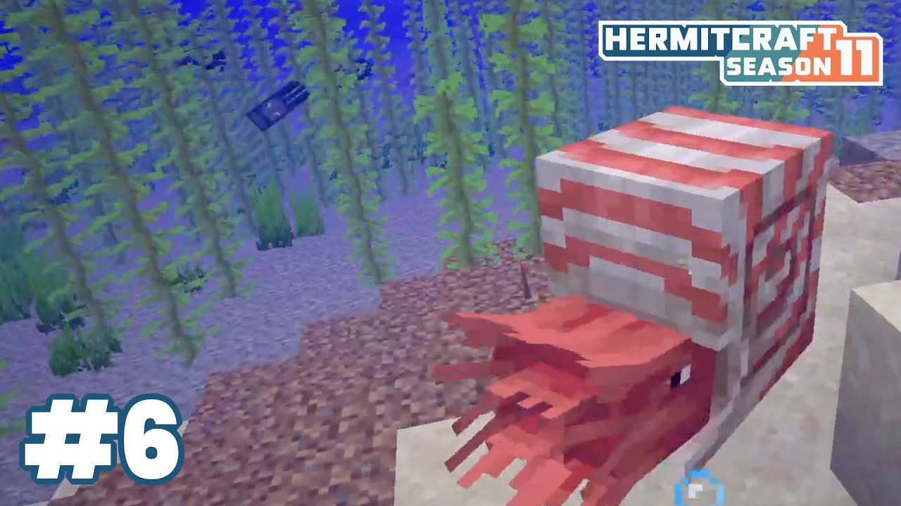 Minecraft 1.21.11: Mounts of Mayhem Update? Collecting gifts to exchange! — HermitCraft 11: ep 6