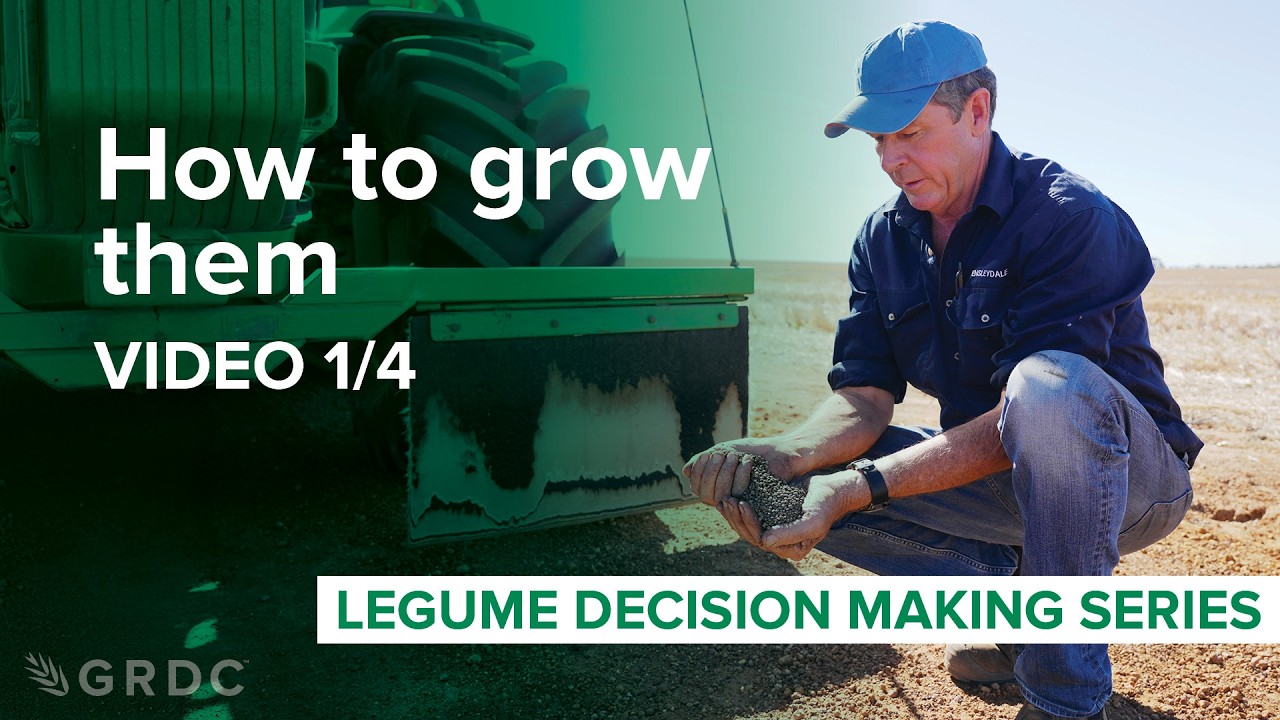 Legume agronomy: How to grow them in the west