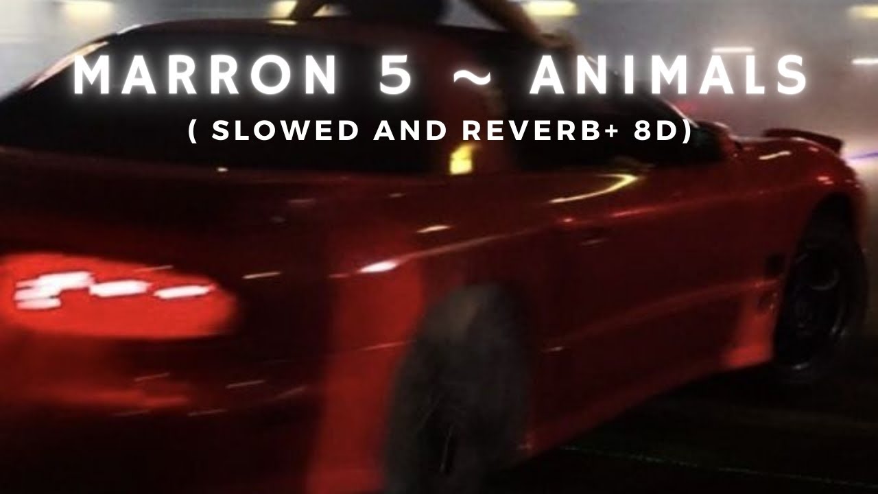 maroon 5 Animals ( slowed and reverb ) + 8D YouTube Music
