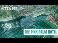 Staying at the pink palm hotel  luxury boutique hotel in saint thomas us virgin islands