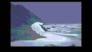 Atari ST - Bird demo