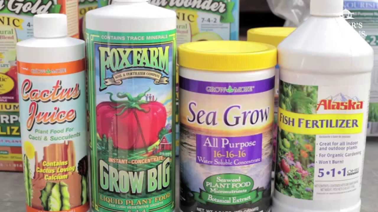 Gardening 101 Series | How Do I Fertilize and Why? with Steve Hampson