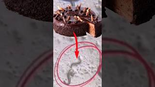 Birthday cake को microscope में देखने पर😱। Bacteria in cake #shorts #youtubeshorts #facts