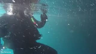 Diving Vlog - Devils Den