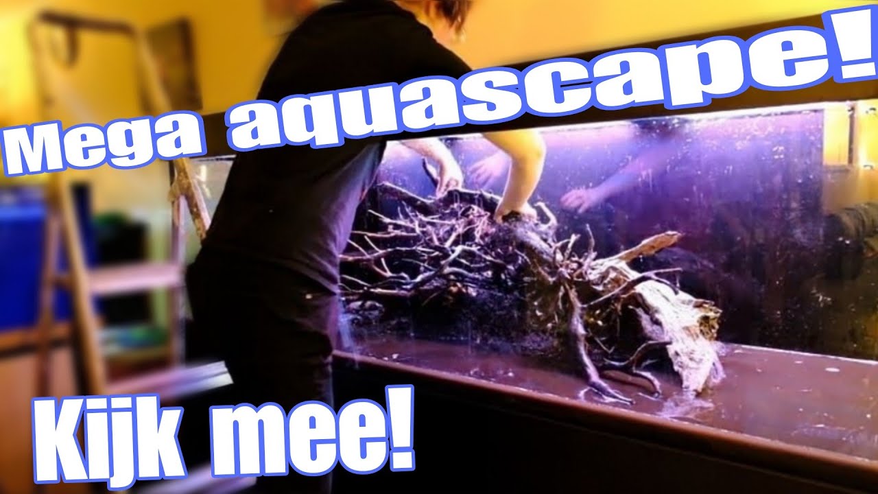 2 Meter Aquarium INRICHTEN / AquaScapen! Kijk mee! //Nickey//