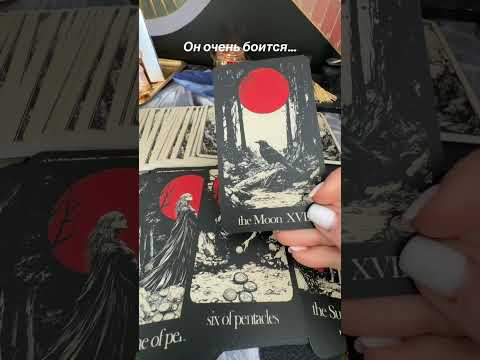 He is very afraid of this #tarot