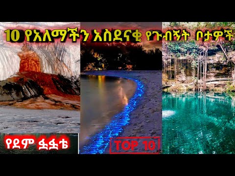 ለማመን የሚከብድ የአለማችን አስገራሚ ቦታዎች Donkey Tube