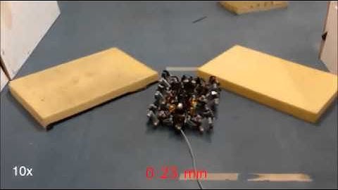 Hexapod robot AMOS II: Adaptive behavior