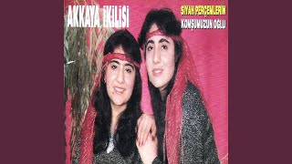 Bir Yar Sevdim Araptır