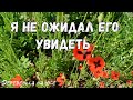 Я НЕ ОЖИДАЛ ЕГО УВИДЕТЬ✌️ Я В ШОКЕ 😯 ПЕЧЁМ ХЛЕБ 🤗 ГОТОВИМ ВКУСНЫЙ ОБЕД 👍