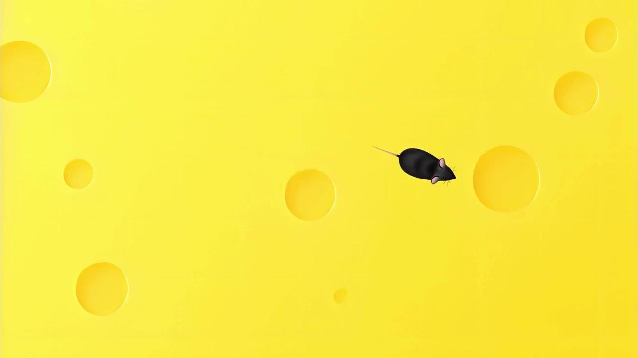 Cat Games Games For Cats Mouse For Cat On Screen YouTube cat-games-games-for-cats-mouse-for-cat-on-screen-youtube
