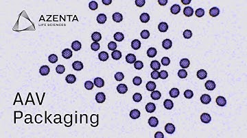 GENEWIZ AAV Packaging from Azenta Life Sciences