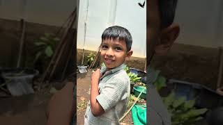 ഗപ്പികളെ കൊടുത്തപ്പോ അവന്റെ മുഖത്ത് സന്തോഷം കണ്ടോ!