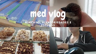 Med Vlog - Rotina De Estudos Durante O Curso De Medicina Brazilian Med Students Vlog