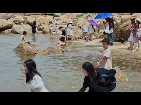 Gái xinh chất lượng biển sầm sơn nóng bỏng nhất Việt Nam