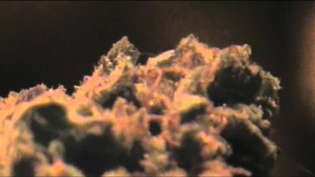 Dank Purple Trainwreck