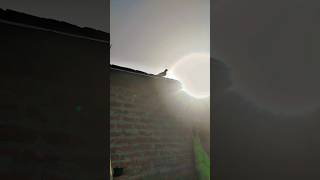 #ak #sok #kabutar# bajida#tirnding# pigeon#punjabi