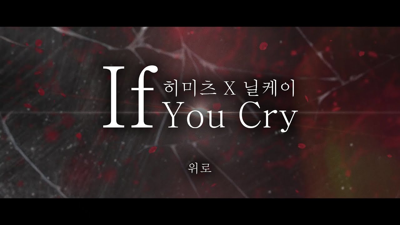 [보컬곡] If You Cry (Hemeets X Neal K) - 히미츠 X 닐케이 콜라보레이션!