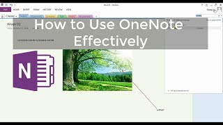 How to Use Microsoft OneNote Effectively | Tutorial - 2017 screenshot 5