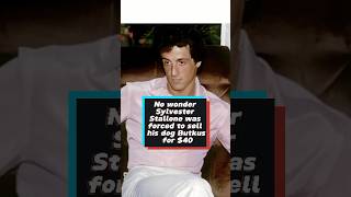 No wonder Sylvester Stallone was forced to sell his dog Butkus for $40.